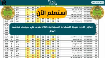 «عاجل الآن» نتيجة الشهادة السودانية 2025 تعرف على نتيجتك مباشرة اليوم